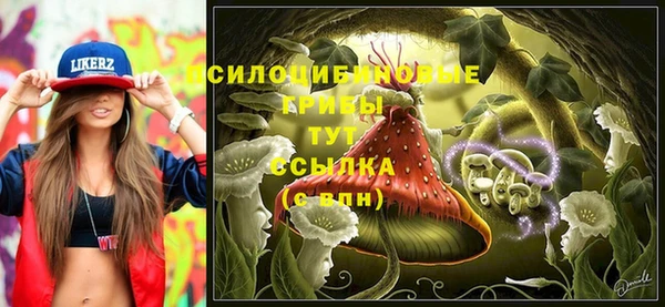 таблы Верея