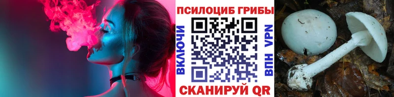 Псилоцибиновые грибы прущие грибы  Купить закладки  Можга 